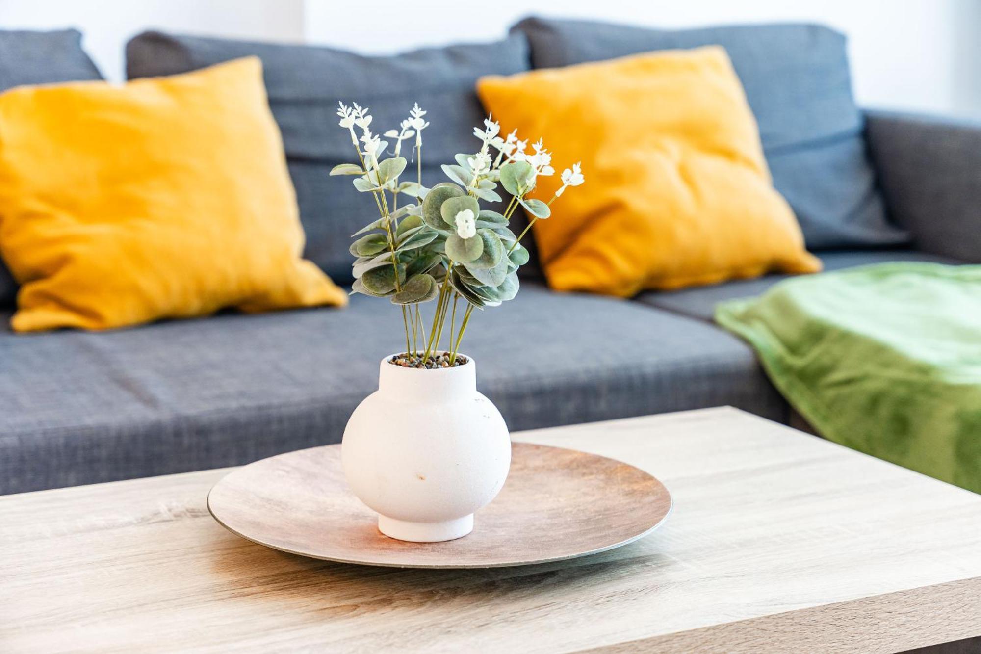 Modern Apollus Avenue - By Openhouse Apartments Тимишоара Экстерьер фото